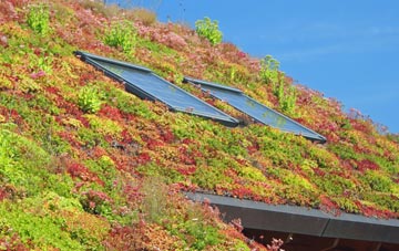 Luddenden living roof systems